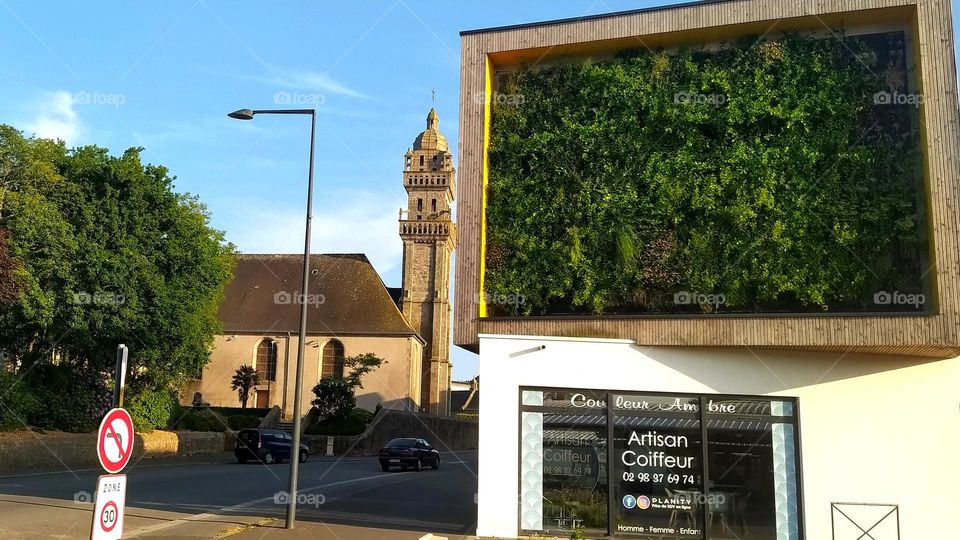 the green wall of a new construction echoes the neighboring trees in the center of a small French village