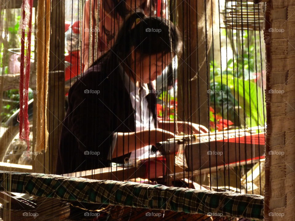 Laotian weaver 