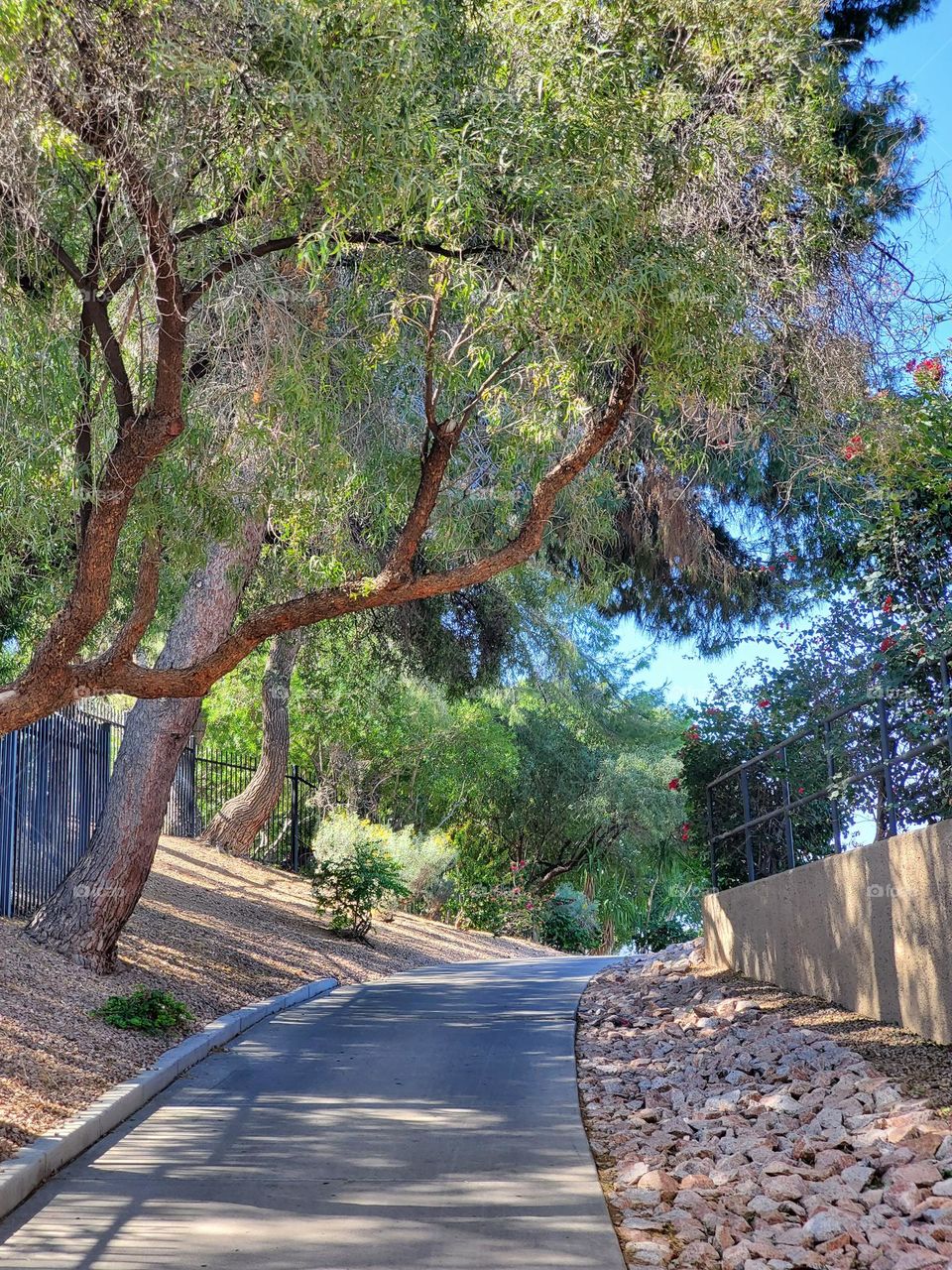 Stroll on a Spring Day