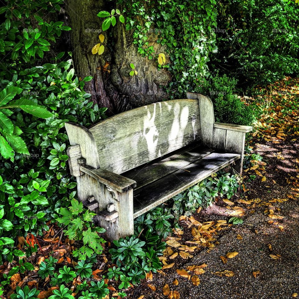 Bench. Garden 