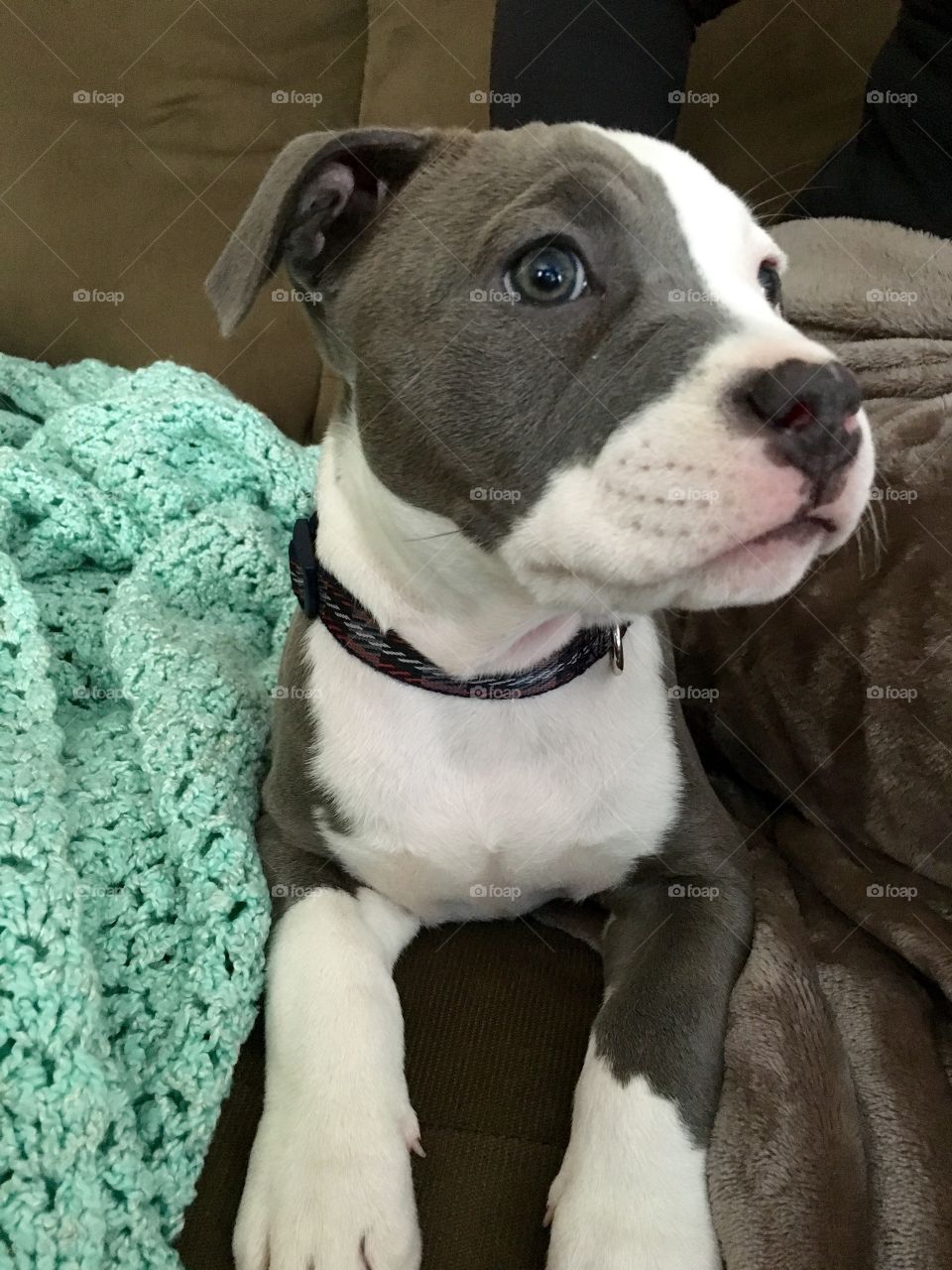 Baby pit