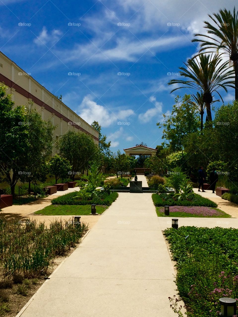 Getty villa gardens