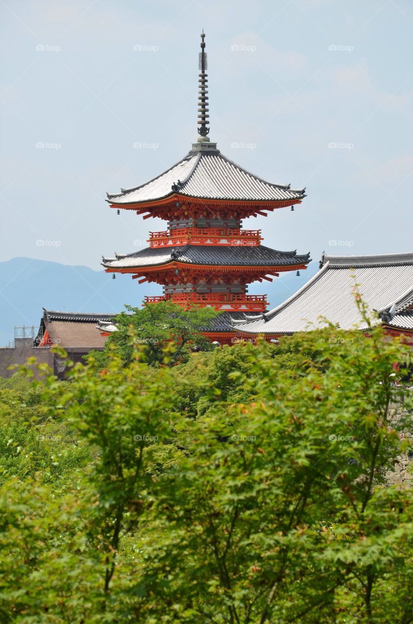 Temple in the forest