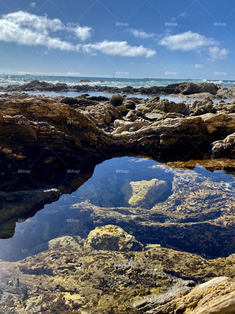 Tide pool at Little Corona del Mar Beach