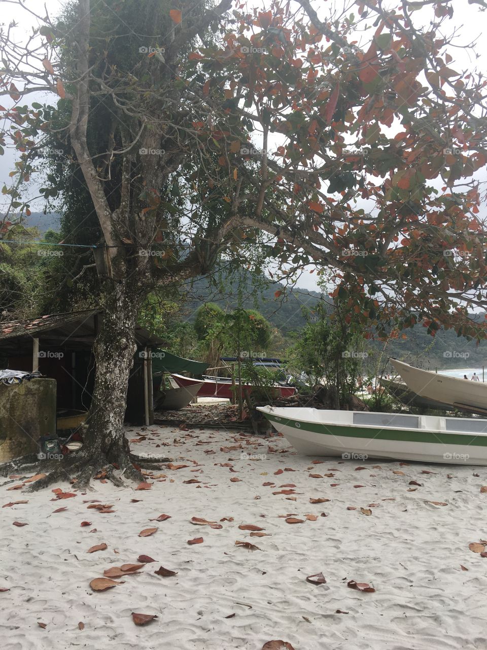 Praia do aventureiro