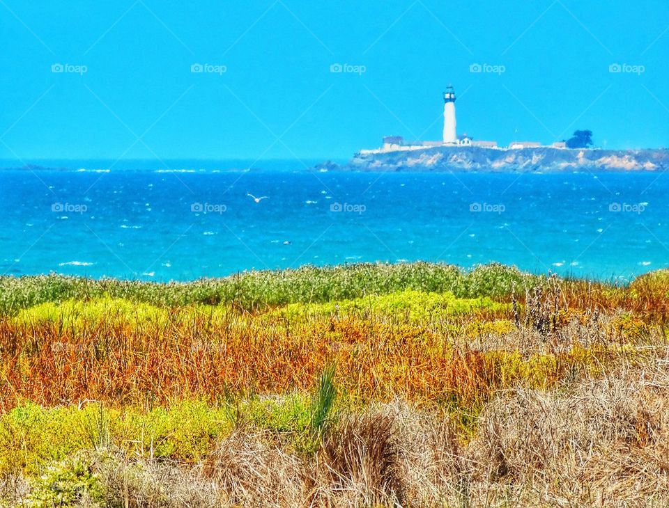 Lighthouse On The California Coast. Idyllic California Coastline
