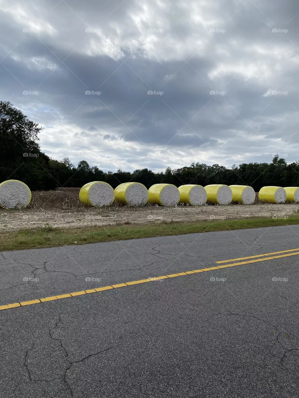 Bales of cotton 