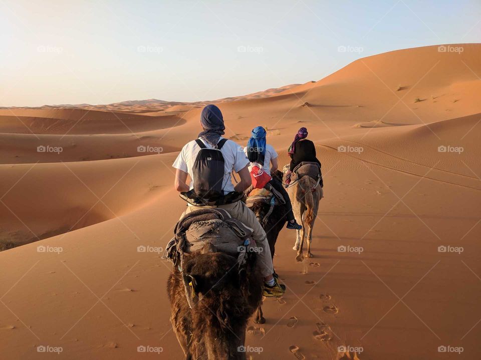 Three People in a Line (Group) Riding Camels in the Sand Dunes of the Sahara Desert in Morocco