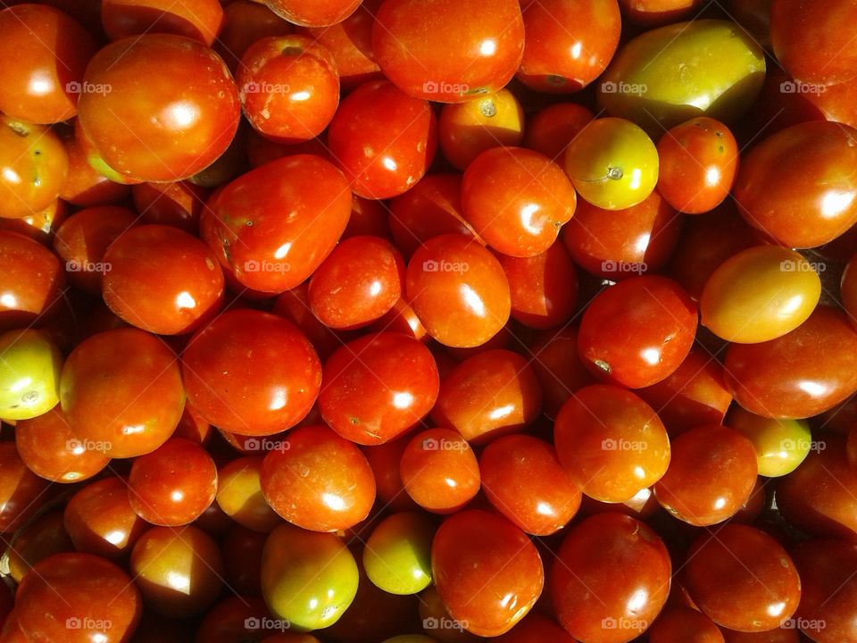 tomatoes