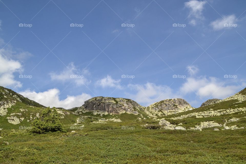 Norwegian Beautiful Mountain 