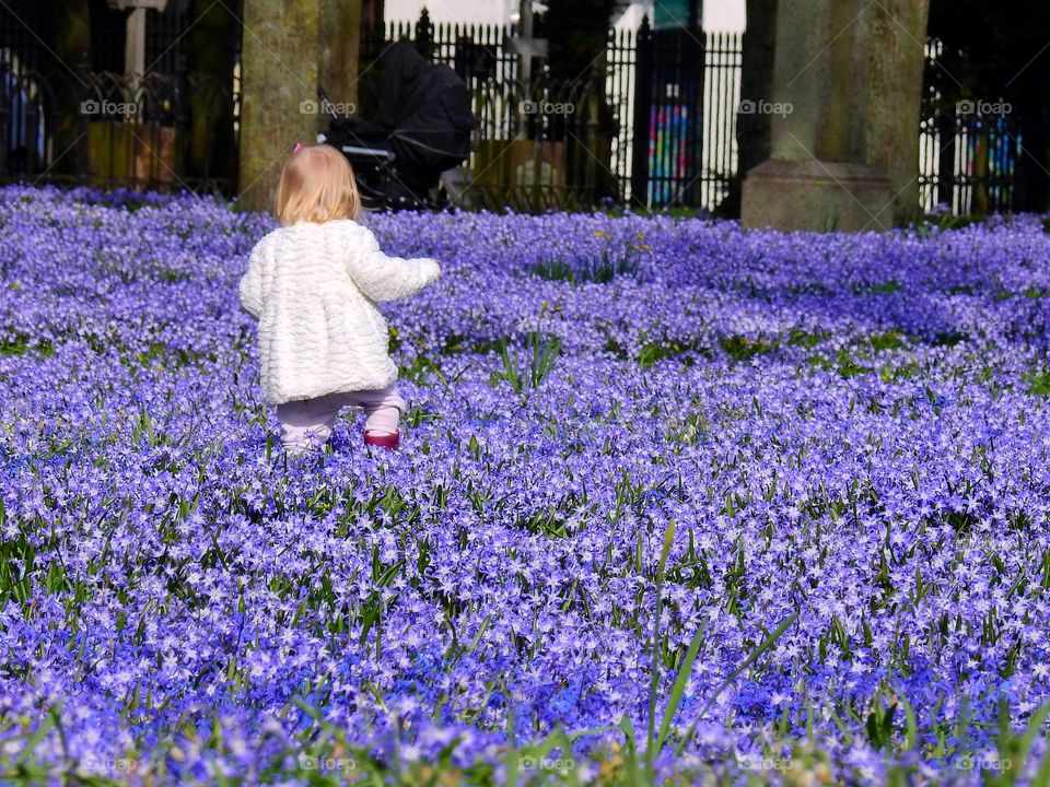 Little girl in a Spring blue world