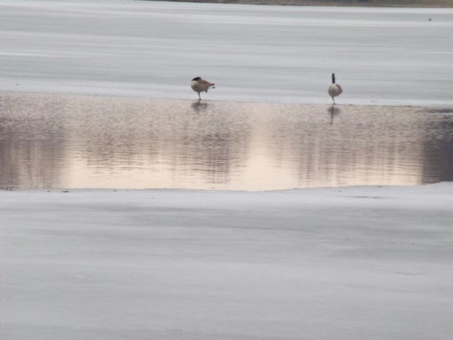 One couple has claimed their spot on the lake.