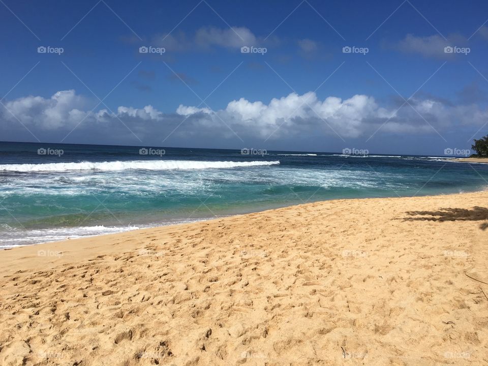 Hawaii beach 