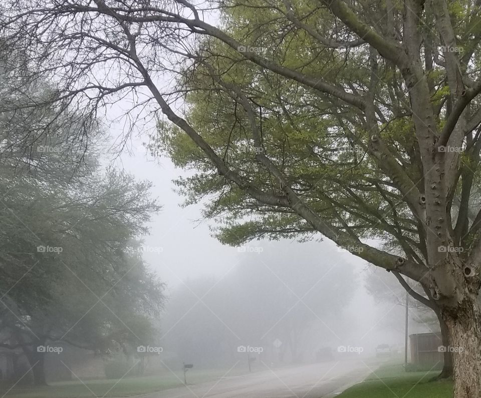 Fog in the neighborhood