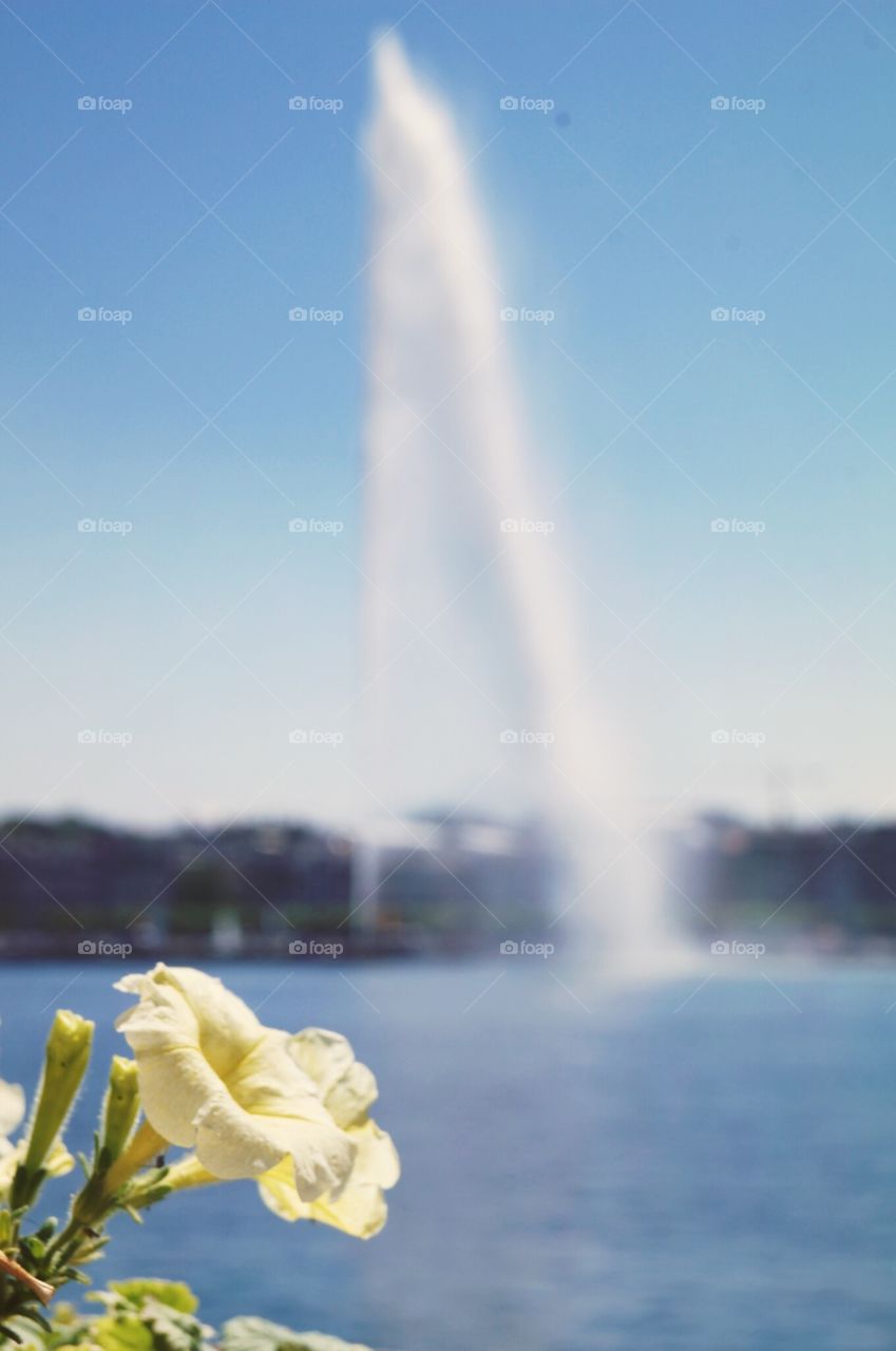 Fountain . Geneva 