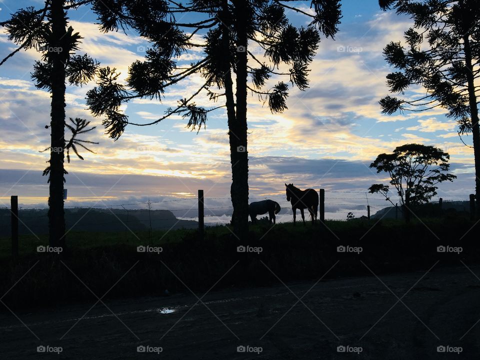 I’m going for his Birthday you will be home 