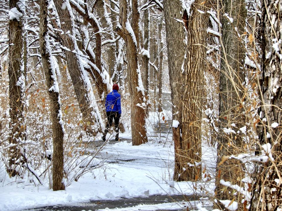 A person walking in the middle of the forest on a cold winter day in Indiana after a snowfall 