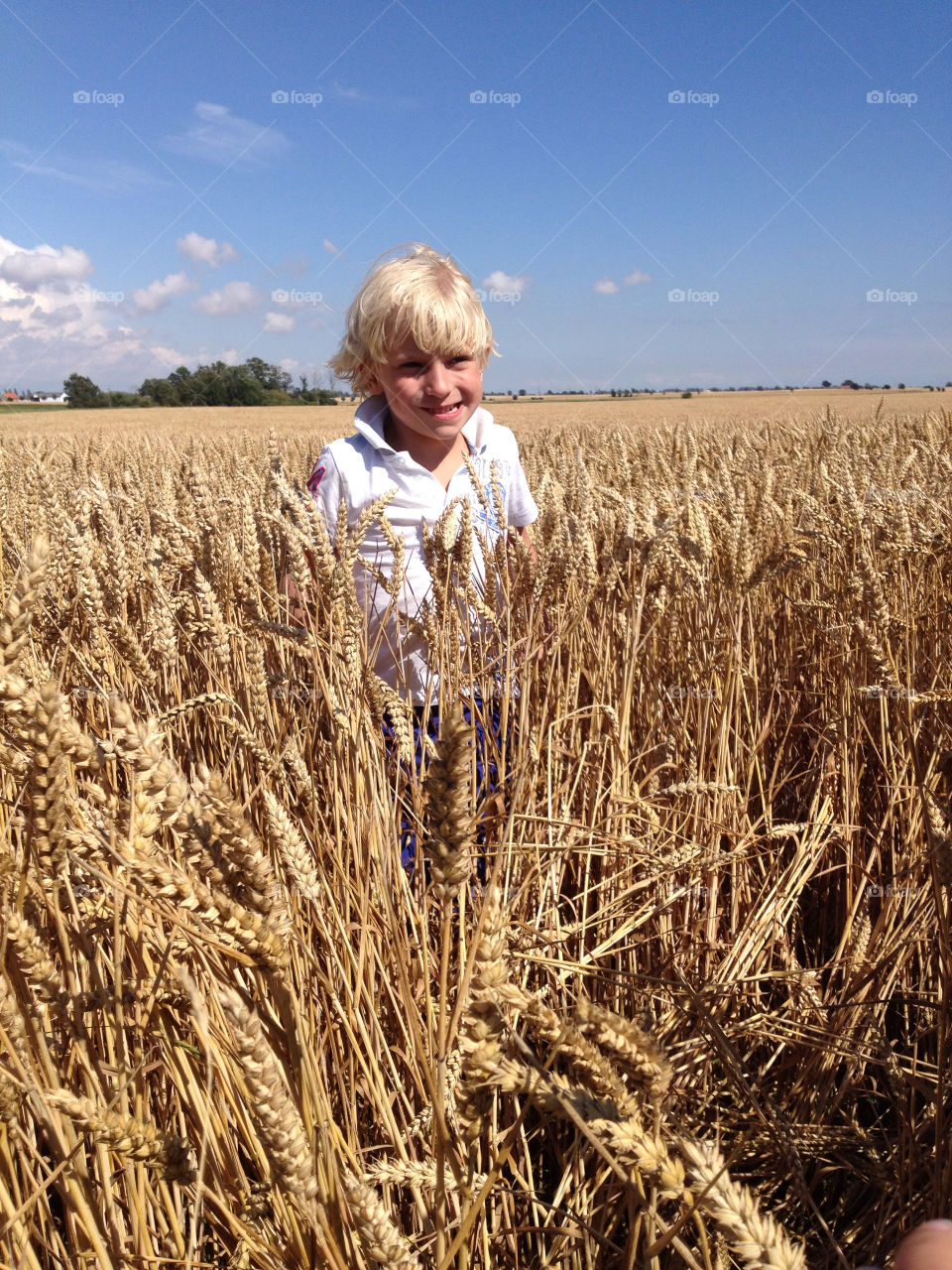 sweden field summer child by shec