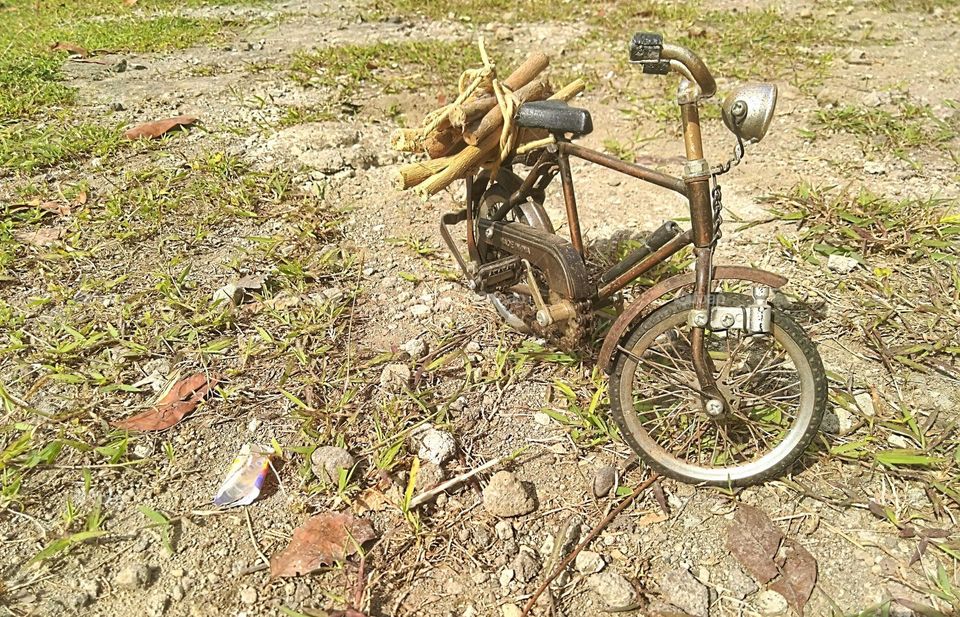 Looking for firewood with an old bicycle