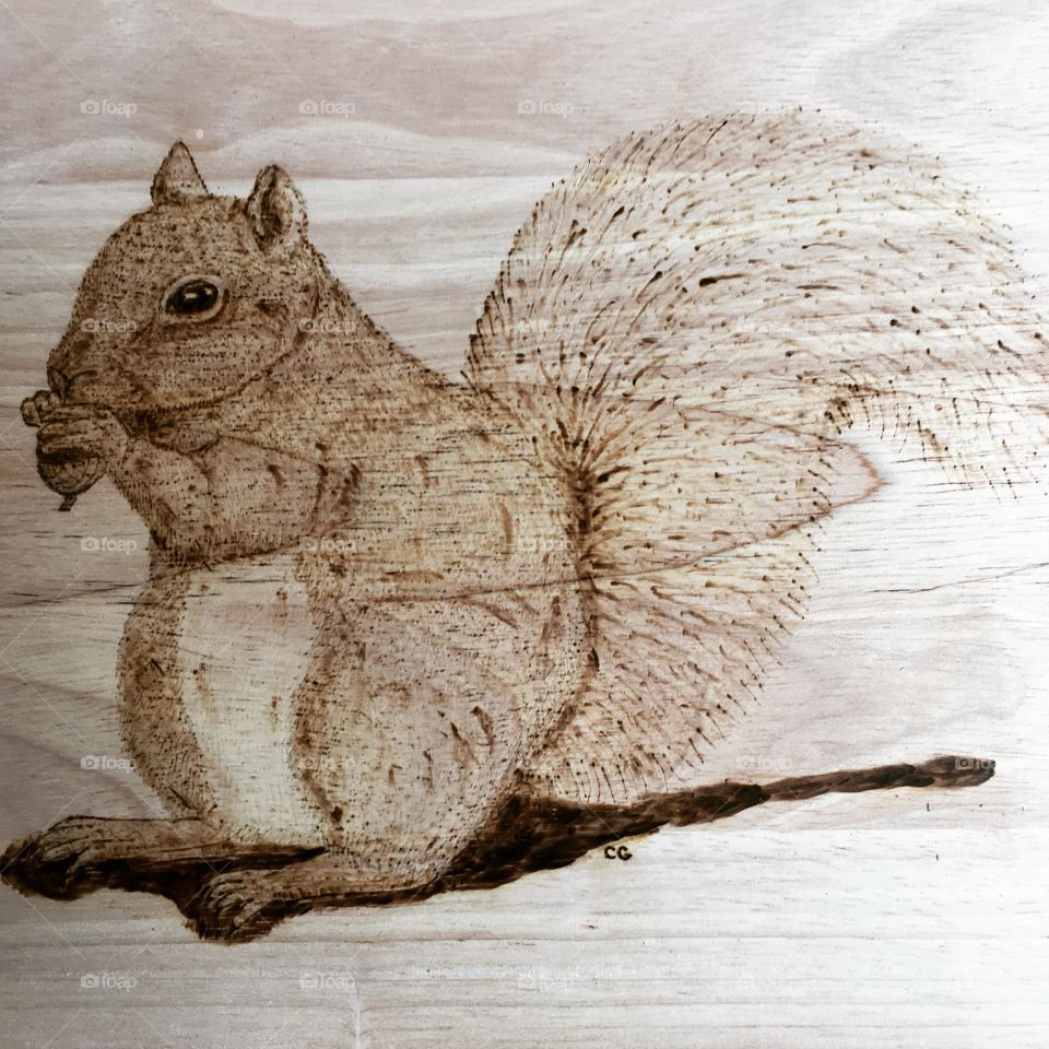A squirrel design drawn and burned by hand as part of my hobby 