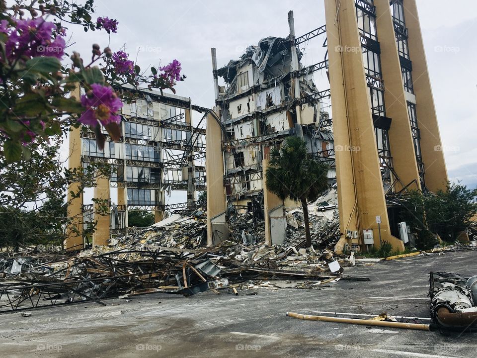 Purple flowers and a demolished building 