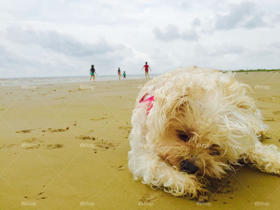 Enjoying the Beach 