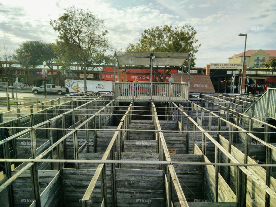 a wooden maze at the Ft. Worth stockyards
