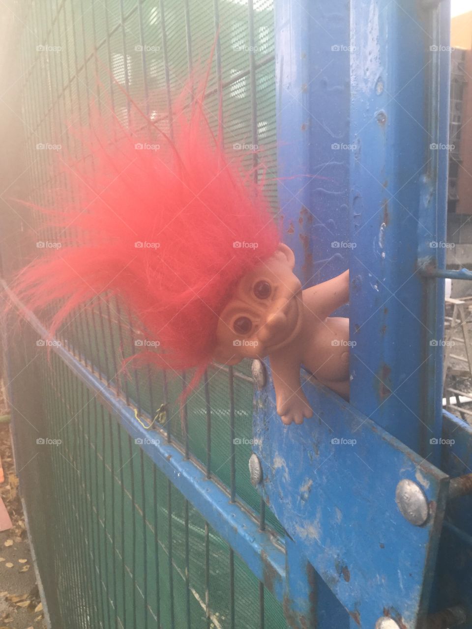 Today I found this troll toy laying on the ground so I put him on the fence & took a photo of him. Pretty cool huh