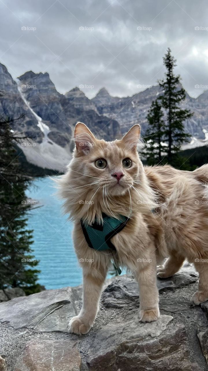 Exploring Canadian Rockies