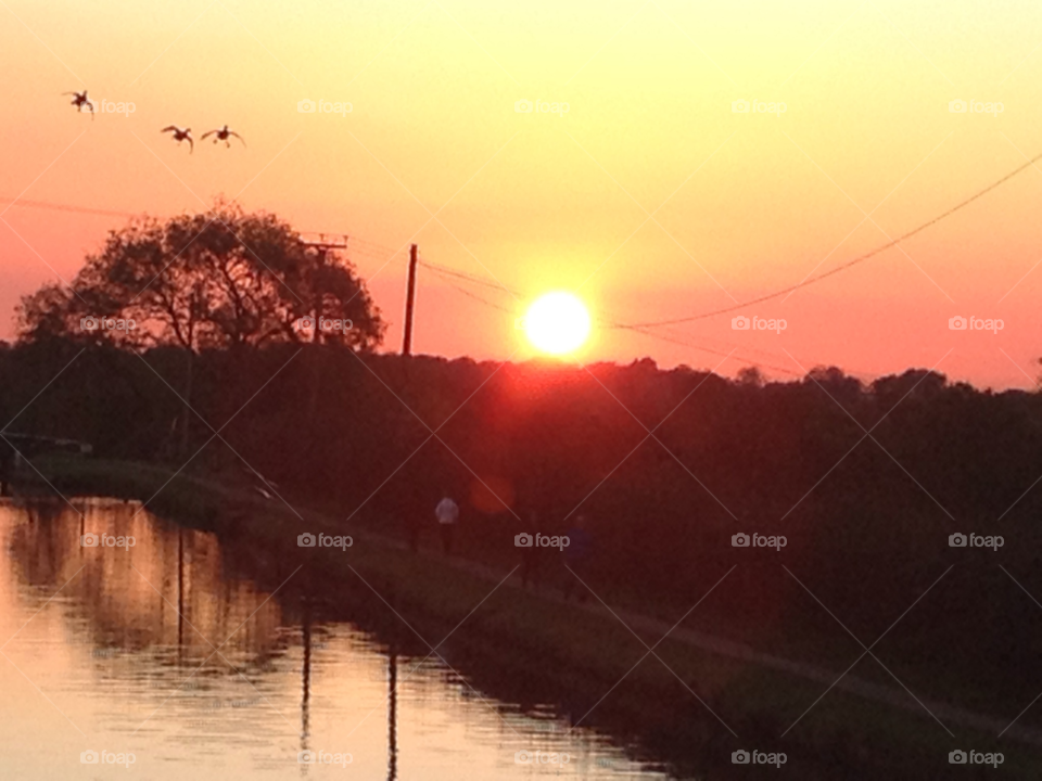 sunset night flight top lock lancashire birds by clarkie28