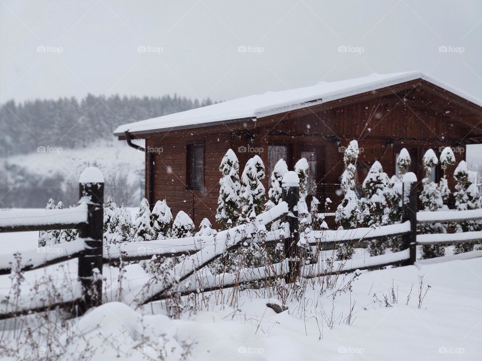 Winter tale around the wooden lodge