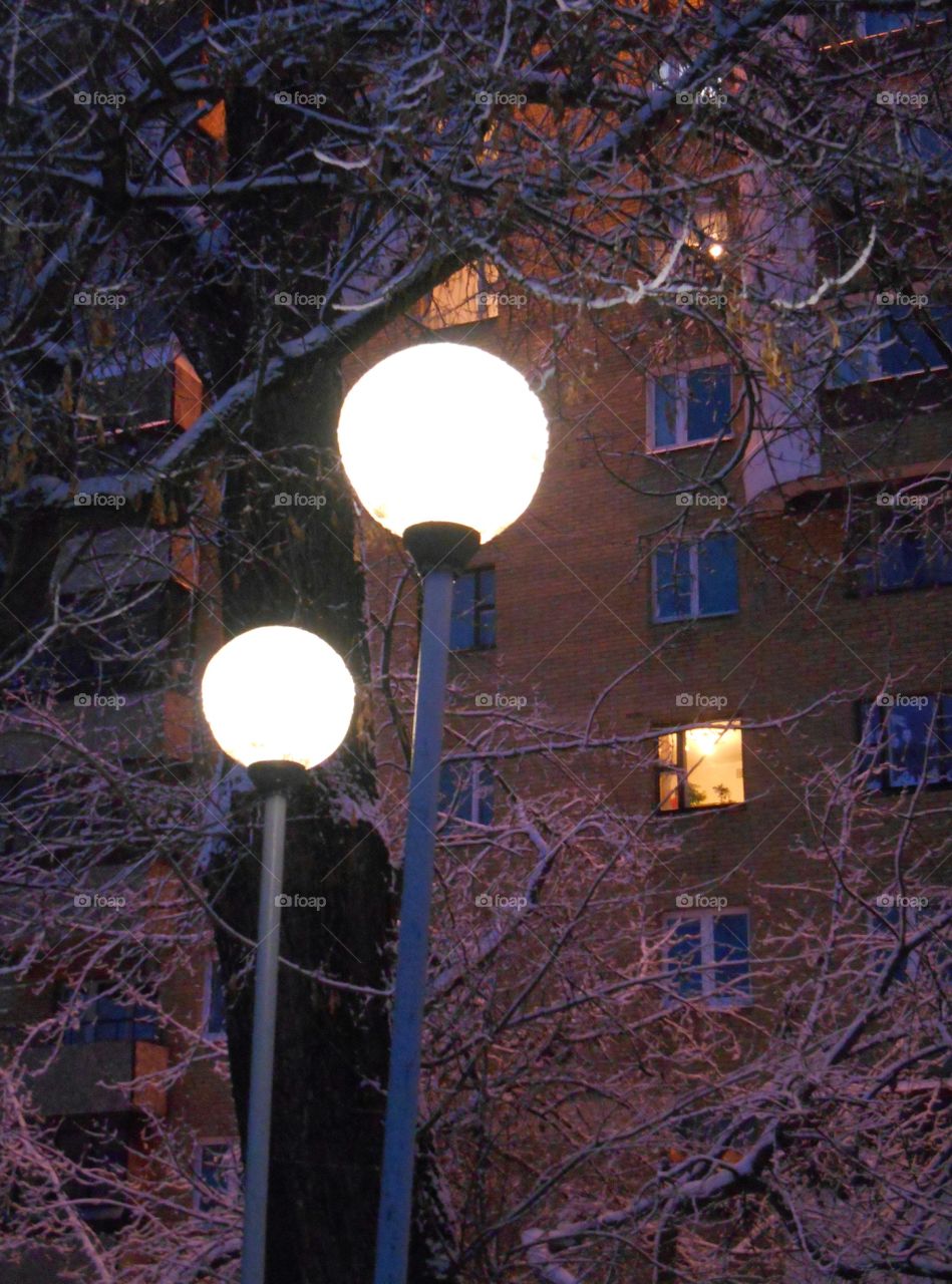 Light, Lamp, No Person, Winter, Lantern