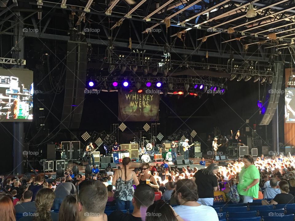 People, Performance, Concert, Festival, Crowd