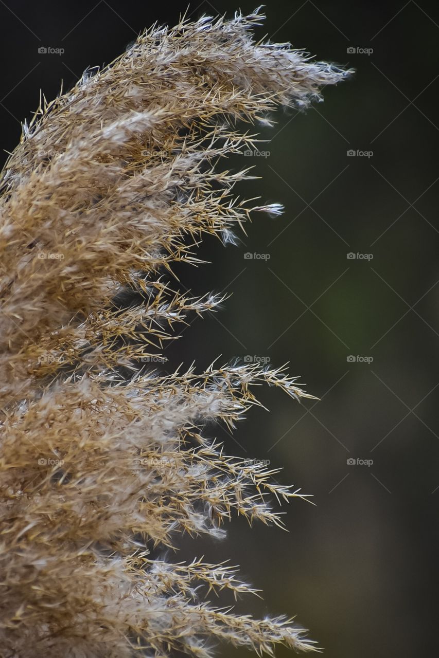 If you truly love nature, you will find beauty in everything.