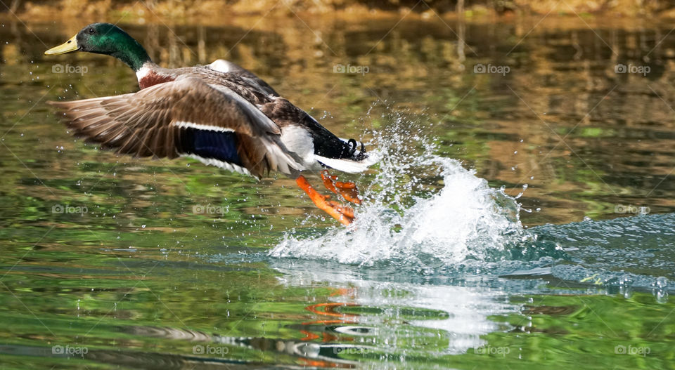 taking off