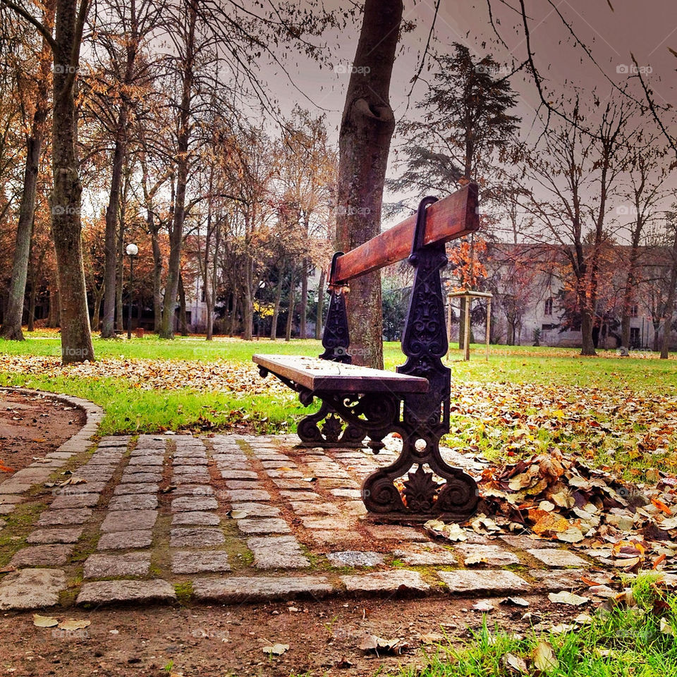 A bench in the park- low angle shot