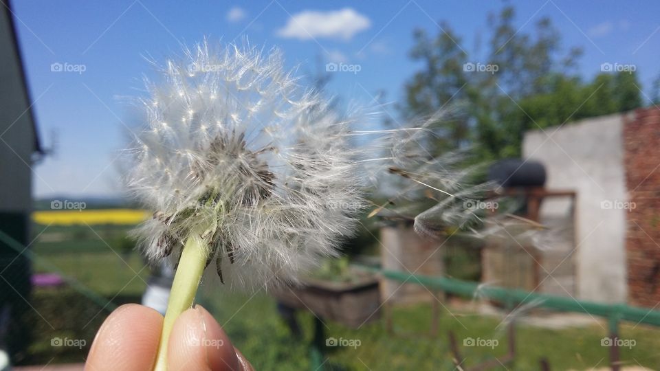 dmuchawiec. taken when i was visting  friend