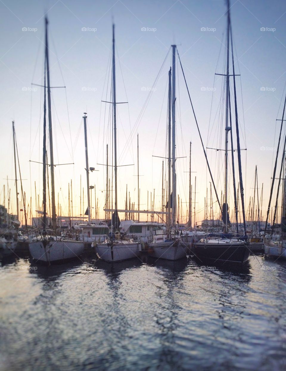 boats at sunset. boats in marina at sunset 