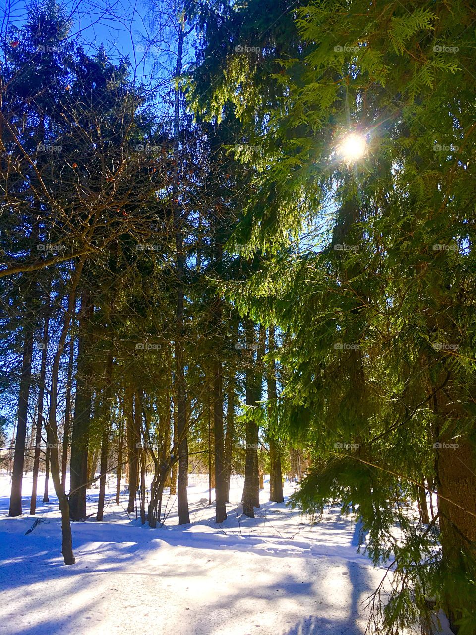 sunny spring morning