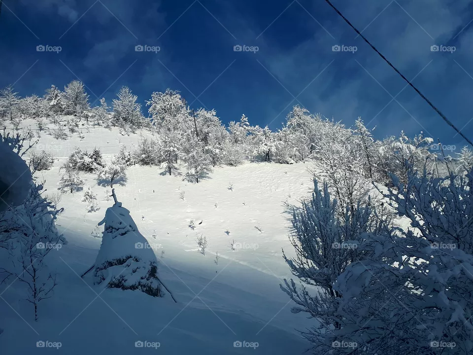 winter