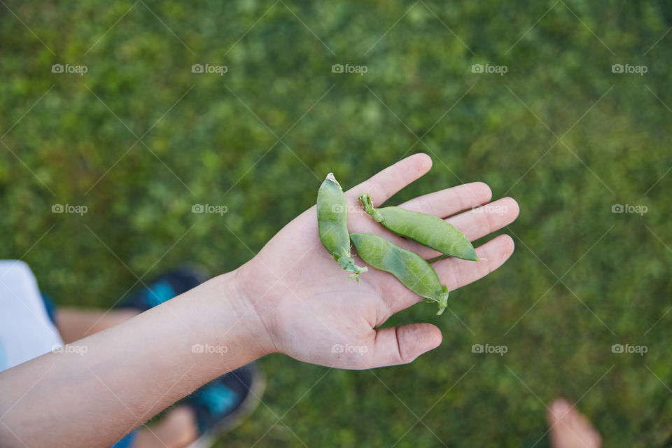 Outdoors, Hand, Nature, People, Woman