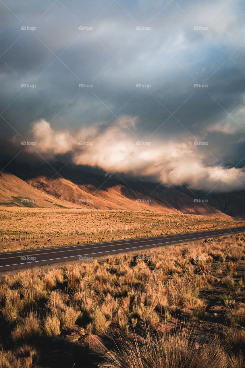 Tranquility in colors...

Ig @pamroblesnature