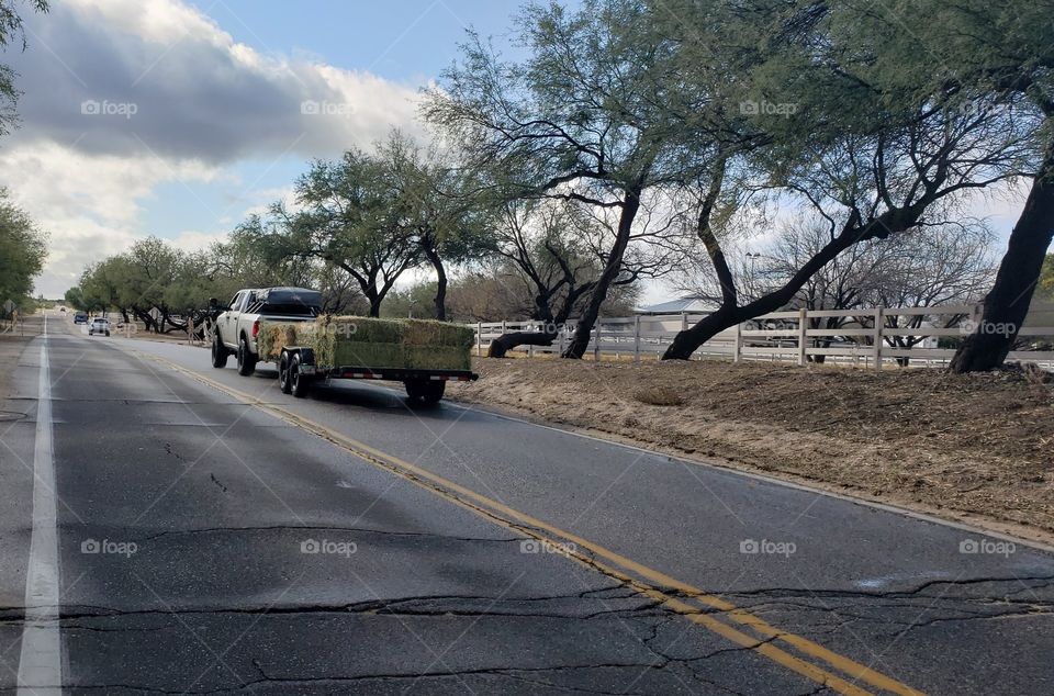 hauling hay after the rain