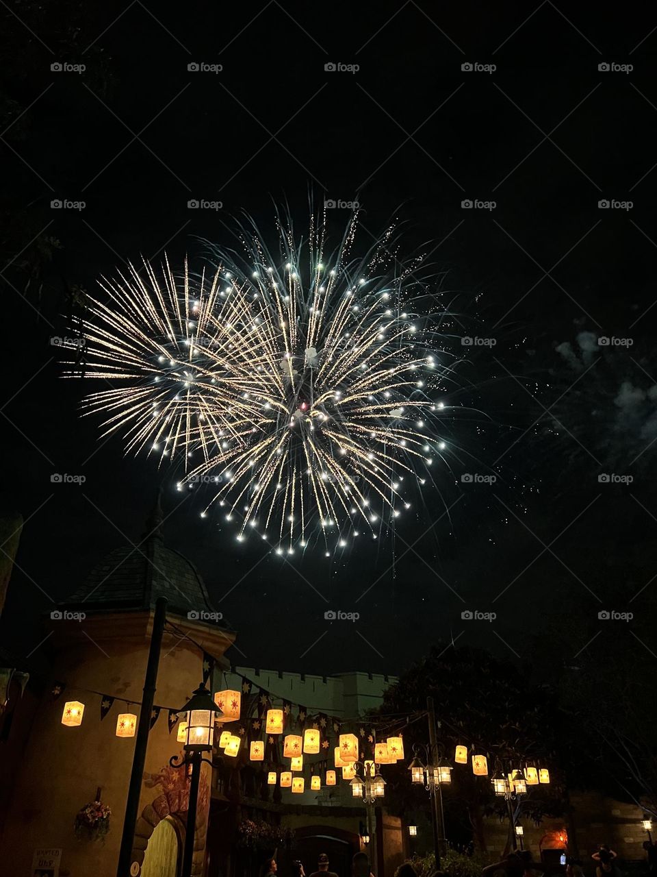 Celebration with Fireworks