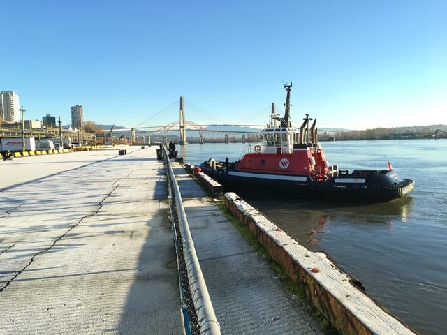 Cold winter on the river