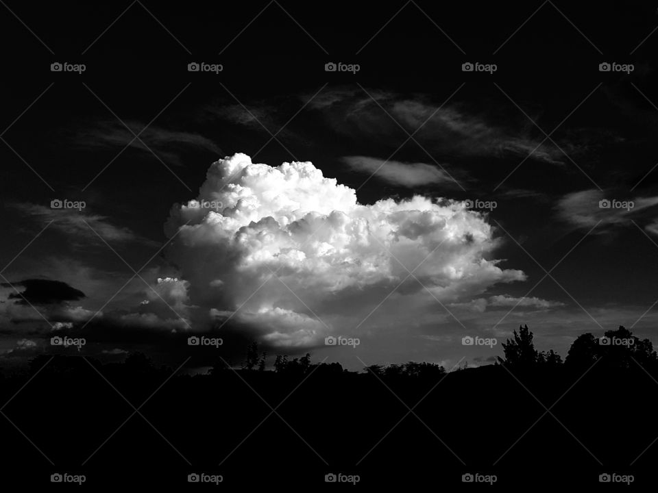 A cloud in black & white