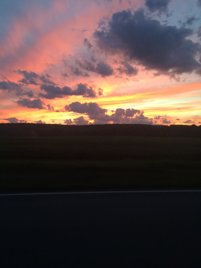 Pink skies 