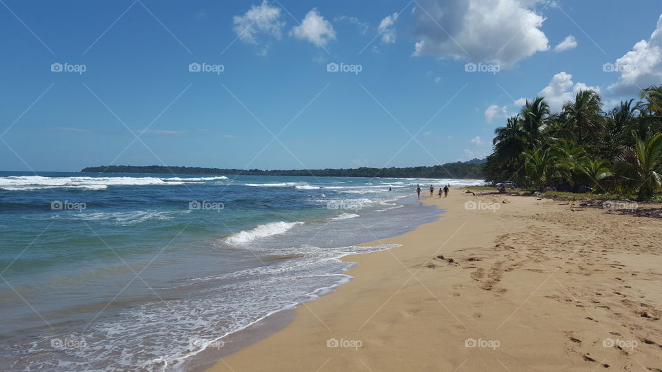 Beautiful caribean beach