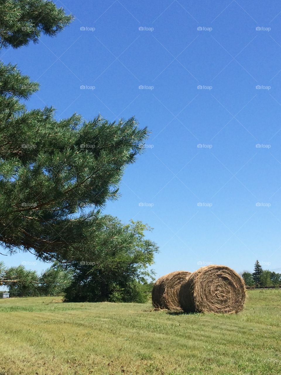 Hay bales in town