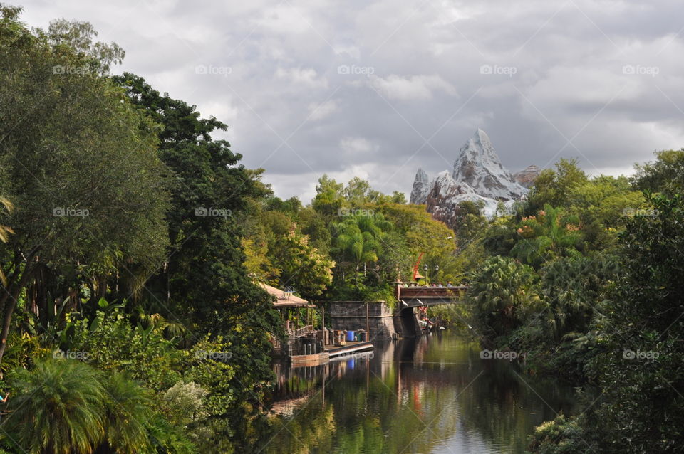 Animal Kindgom. Looking down the river toward the mountain in Disney's Animal Kingdom